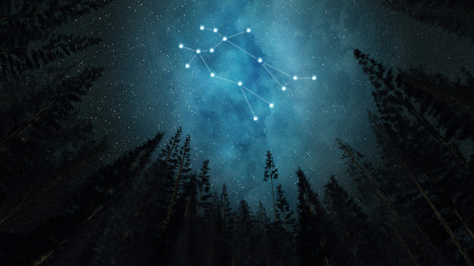 The constellation Gemini: the position of the stars has been accurately mapped by astronomers since ancient times and celestial navigation is  still considered to be highly reliable.  Photo credit: Shutterstock