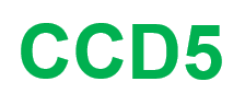 CCD5