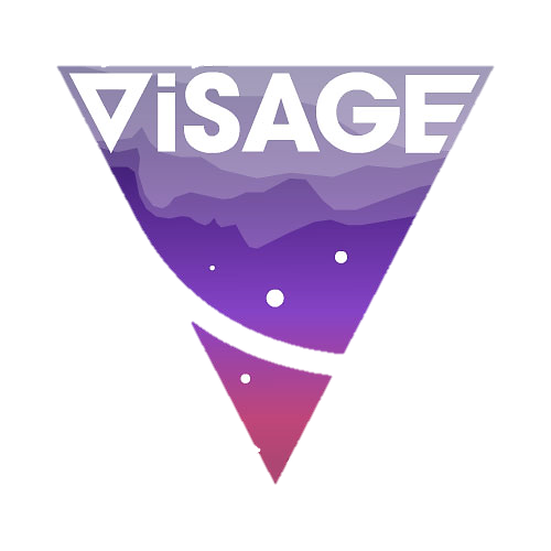 ViSAGE Feasibility Study