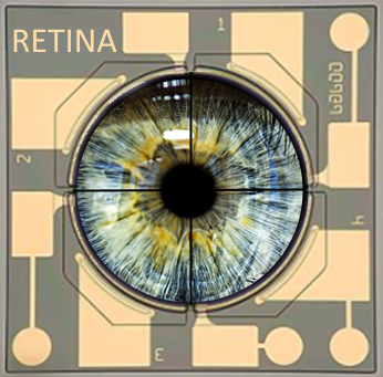 AO-RETINA